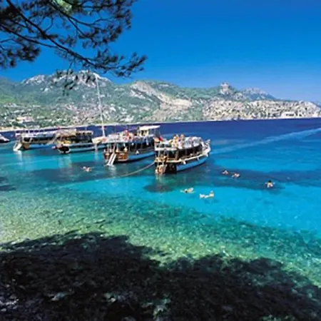 Red Rose オルデニズ